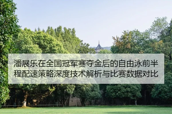 pan-zhan-le-zai-quan-guo-guan-jun-sai-duo-jin-hou-de-zi-you-yong-qian-ban-cheng-pei-su-ce-lve-shen-du-ji-shu-jie-xi-yu-2-438.jpg
